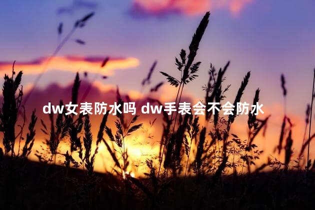 dw女表防水吗 dw手表会不会防水